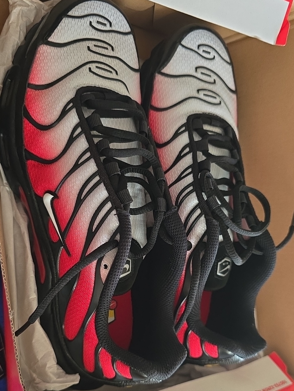 Mens NIKE Air Max Plus Shoes